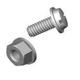 License Plate Screw and Nut Image 3