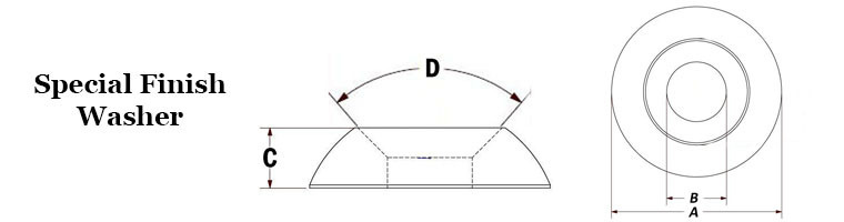 Special Finish Washers Image